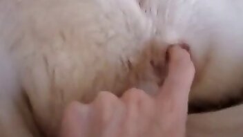 sexo com animal,vídeos pornográficos de animais