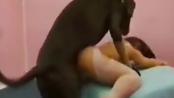 animal porn videos,intense fuck