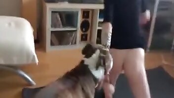 quan hệ tình dục với động vật,video khiêu dâm động vật