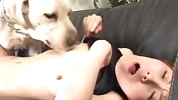 sex film v zoo,zvíře kurva porno