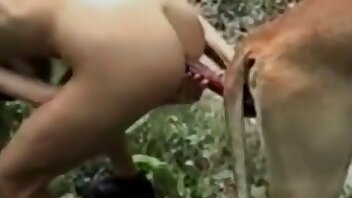 outdoors fuck,thrilling animal fuck