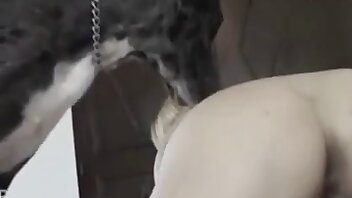 porno con animali,video di zoofilia
