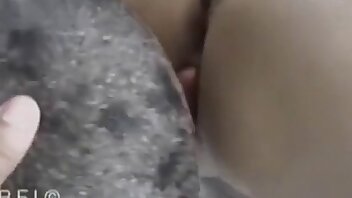 pornô com animais,vídeos de zoofilia