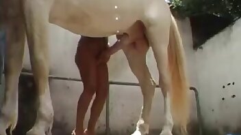 porno con animali,porno sesso zoo