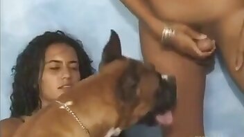porno bestialité,clips pornographiques de zoo