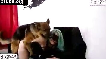 porno se zvířaty,porno v zoo zdarma