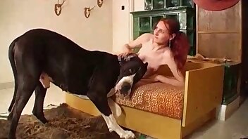 porn with animals,zoophilia porn