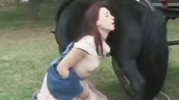 film porno ze zwierzętami,dziki seks