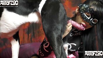 動物性愛ビデオ,動物ポルノ