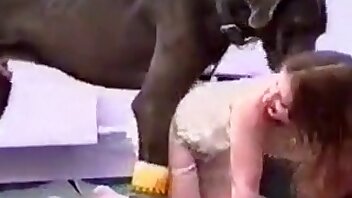 porno con animales,pornografía zoológica gratis