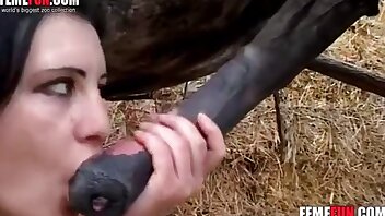 horse bestiality videos,woman fucks with animal