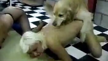 video di zoofilia,porno con animali