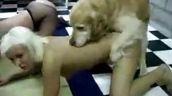 zoophilia videos,porn with animals