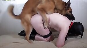 submissive,dog-fucking