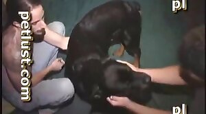 xxx,beastiality