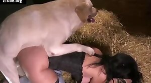 free,animal