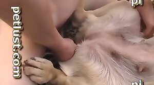 free,zoo-sex