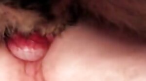 dog-fucking,having