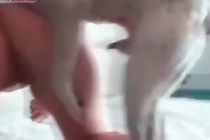 dog sex,animal fuck
