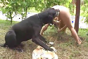 dog sex,brunette