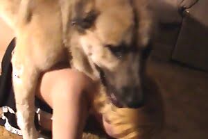 animal fuck,bitch