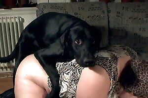 zoo sex,bestiality