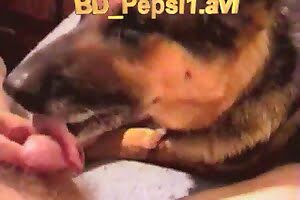 dog sex,pussy