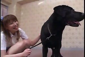 zoophilia,blowjob