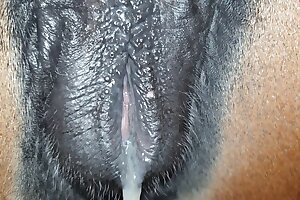 porno zoophilia,zoo porn videos