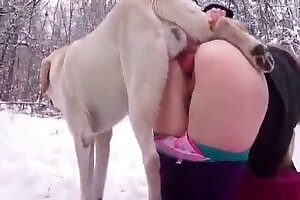 outdoors sex,zoophilia