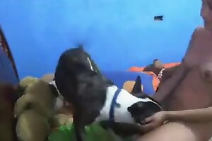 zoofilia videos,zoo porn videos