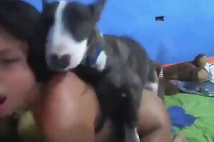 zoofilia videos,zoo porn videos