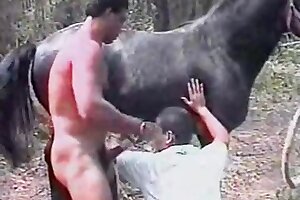 porno zoophilia,zoophilia