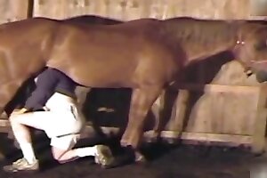 licking,bestiality orgasms