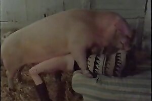 guys fuck animals,fuck