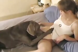 zoophilia,
