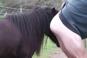 gay zoo porn,zoo sex