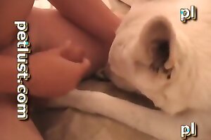 gay zoo porn,guys fuck animals