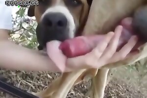girls and animals,gets
