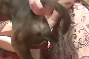 free,animal porn