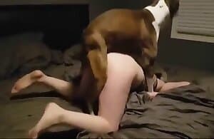 dog sex 