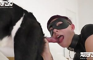 dog sex 