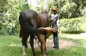 horse porn videos