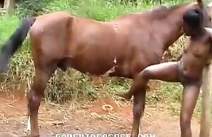 video de zoofilia