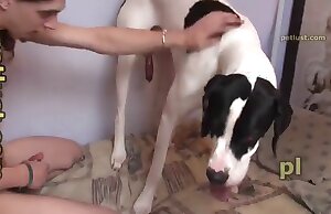 video de zoofilia