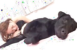 bestiality