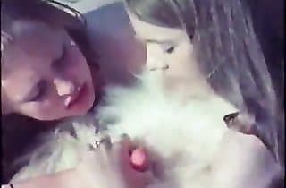 chick,doggy porn