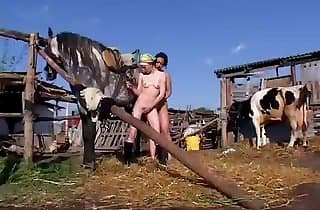 male bestiality,animal sex videos