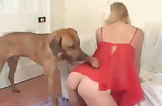 dog porn,bestiality love