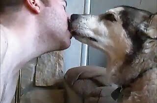 male bestiality,dog porn